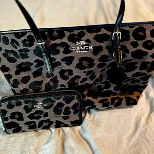 Coach Bag & Wallet